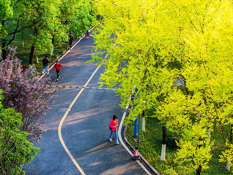 “研”值爆表！重庆4个学霸宿舍，集体赴北大等深造，来自同一所高校！