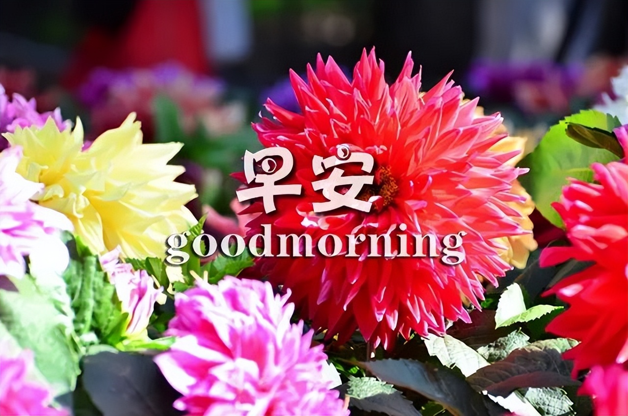 早上好朋友，早上好图片大全 早晨好表情包 祝你天天开心好心情图片