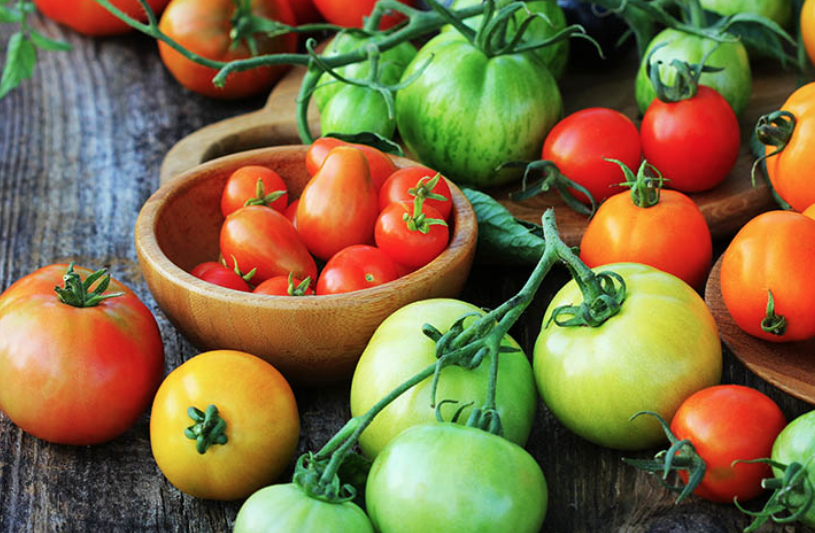 番茄的營養價值怎麼樣？