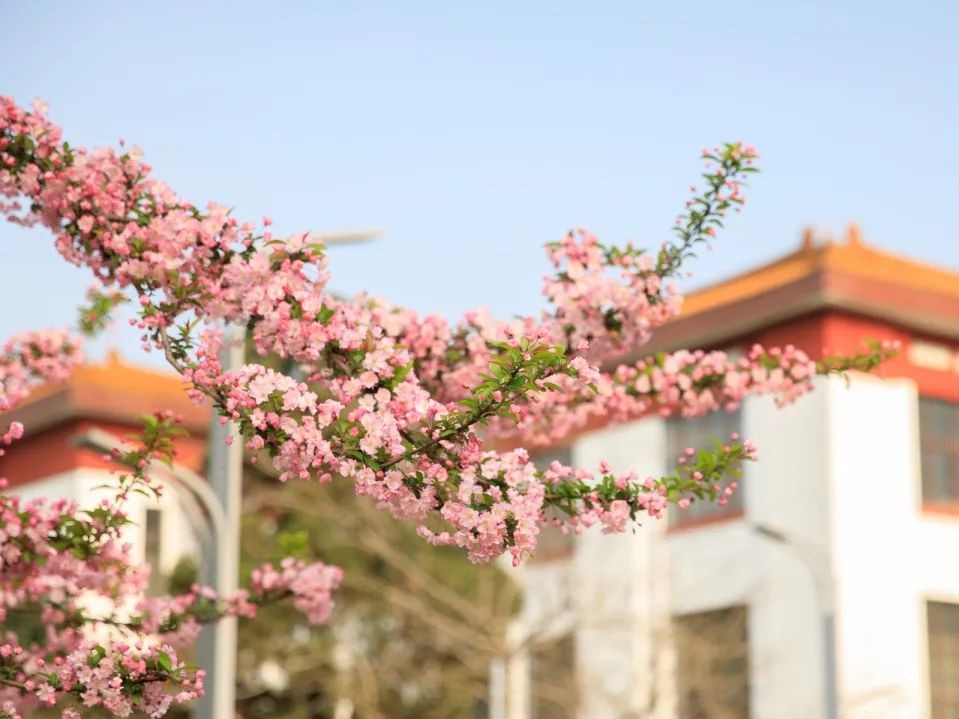 女总裁、女法医、女火炬手…这些“最美巾帼”，全都来自四川大学！