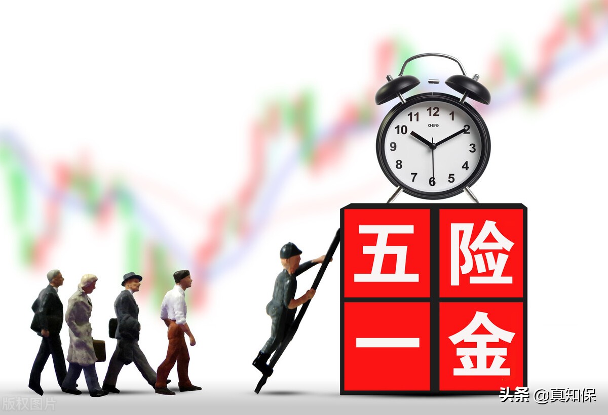 养老金查询个人账户,养老金查询个人账户查询