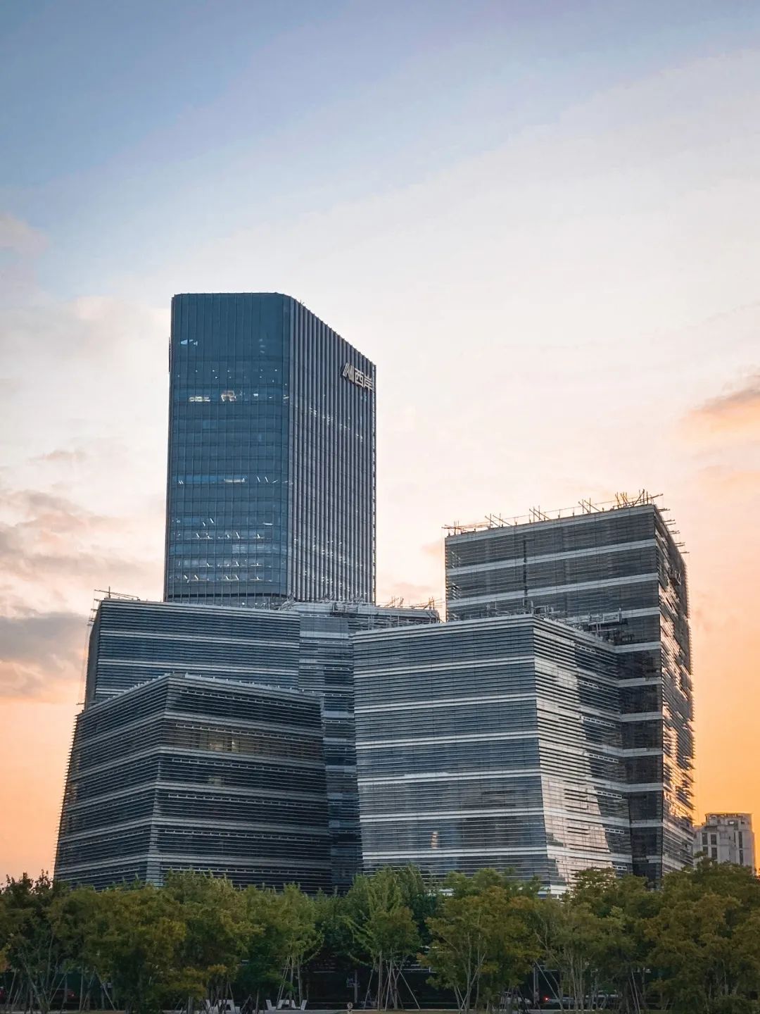 西岸艺岛，被阿里巴巴收入囊中