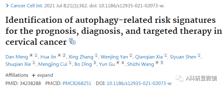 设计细胞自噬主题的标书没有思路？看这里！教你先确定目标基因