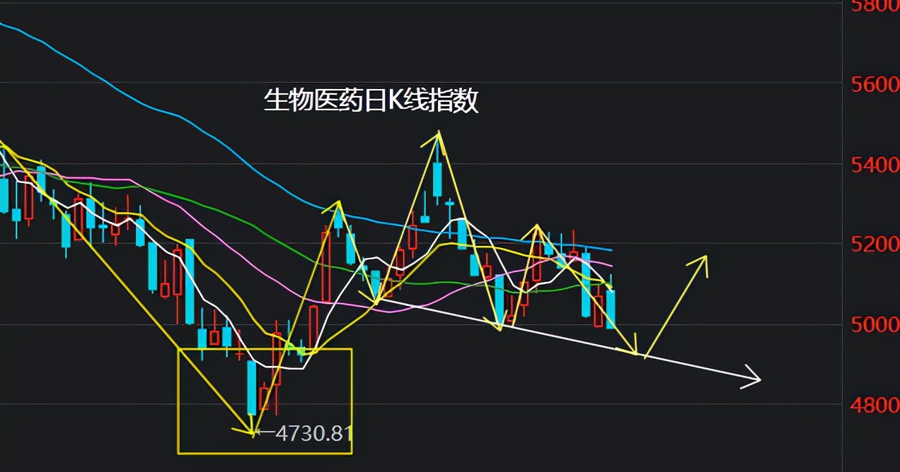 上证指数下周触底回升，创业板新能源医药走势详解