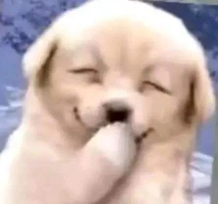 十则笑掉大牙的搞笑段子，大家快点进来一起笑啊