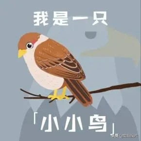 人生路上的十首歌，哪一首是你的青春回忆，哪一首曾伴你前行？