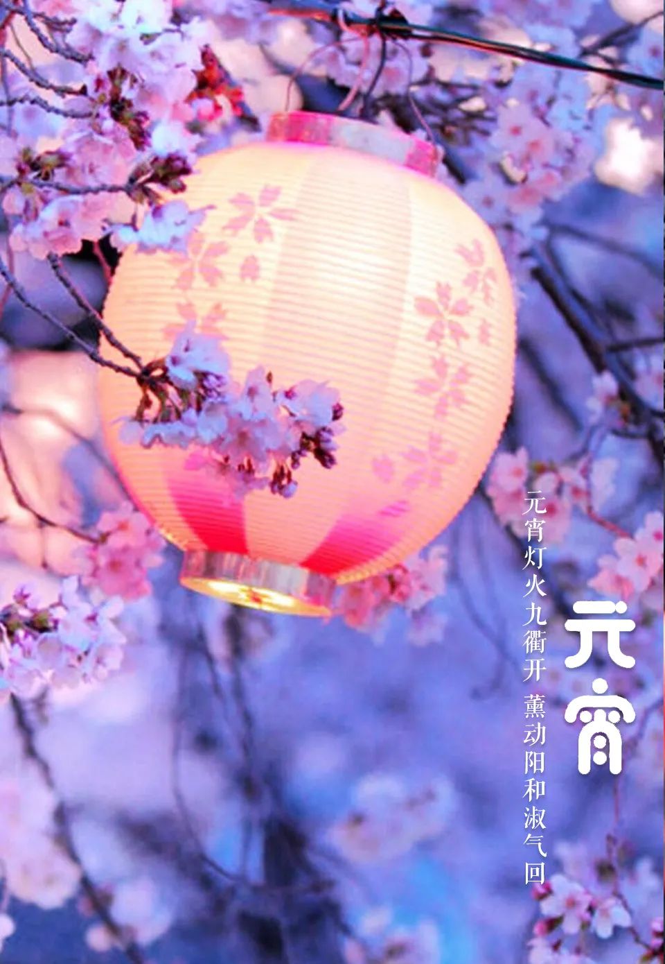 「美文美图」元宵节 | 好把元宵 良辰美景 暮暮朝朝