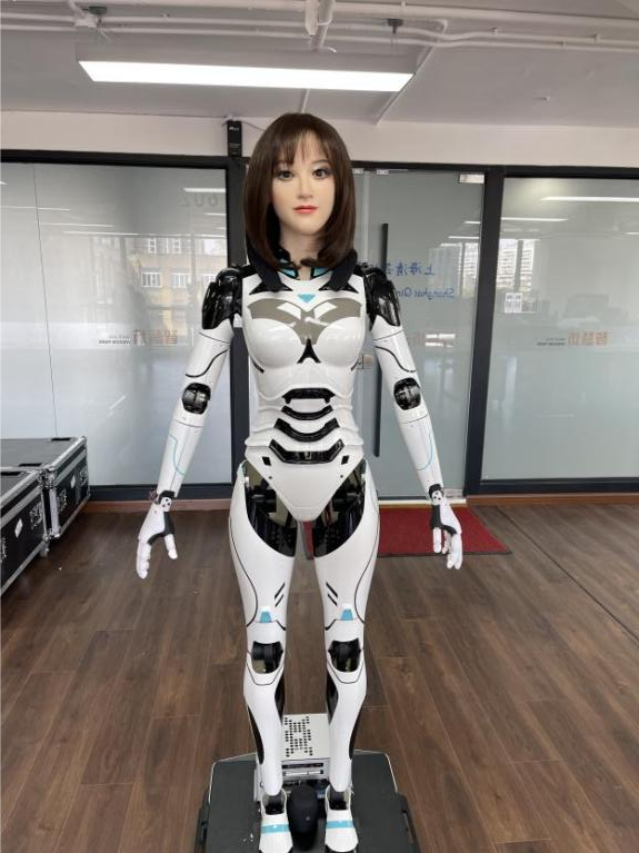 你想拥有一台智慧陪护型高仿人机器人吗？