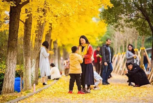 武汉的大学排名一览表（武汉高校排行榜已敲定）