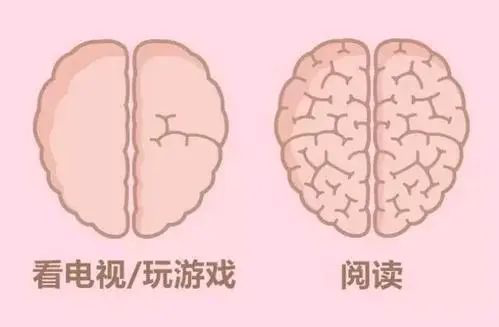 互联网改变人类的大脑？读《浅薄：互联网如何毒化了我们的大脑》