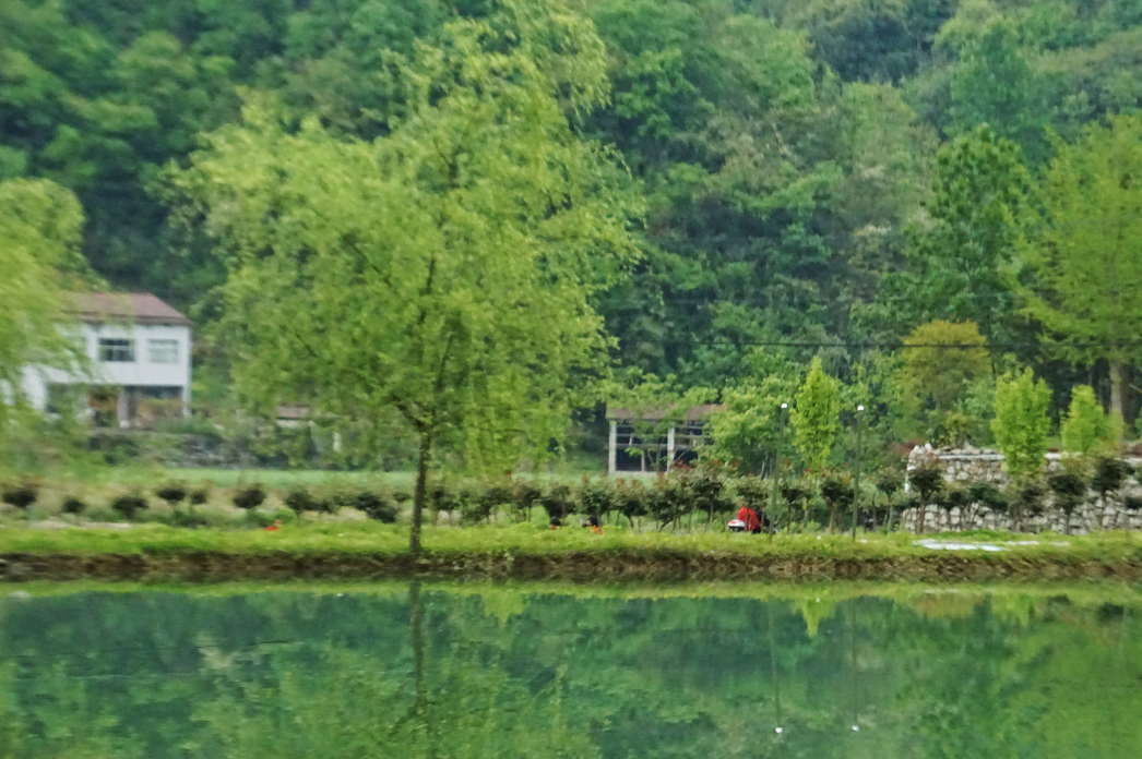 走进寨湾｜李敬相