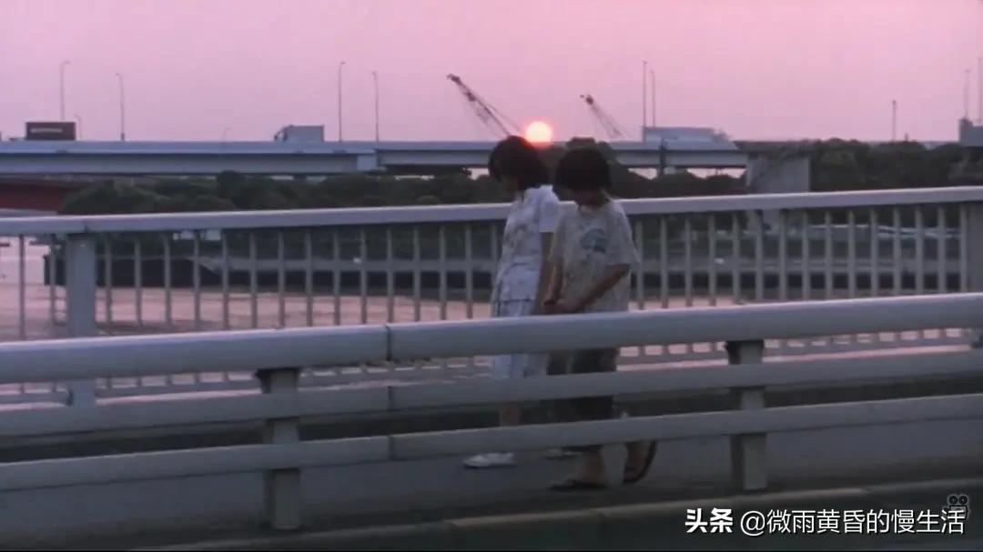 那些被遗弃的花朵,悲伤又温暖地独自开落——《无人知晓》
