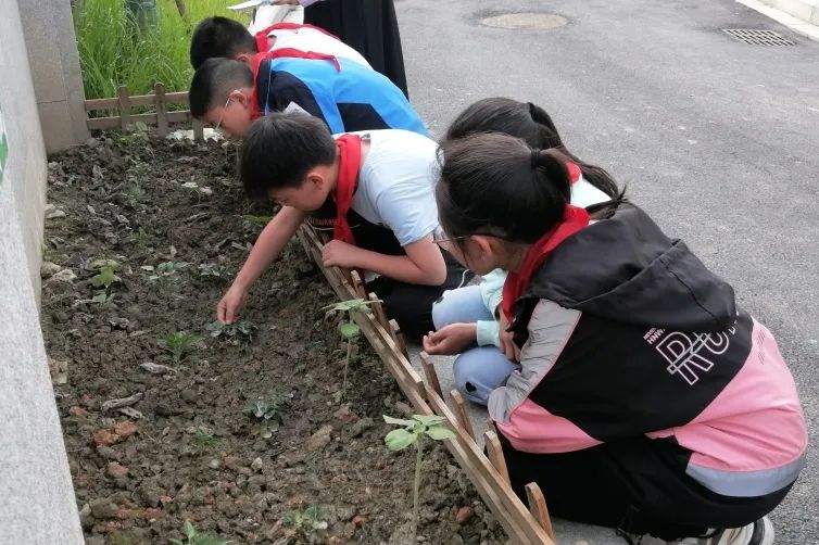 黄甲小学开展“人人参与科技节，我的科技节我做主”科技节活动