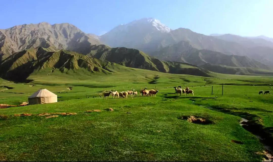 想来新疆旅游？十条特色旅游线路别错过