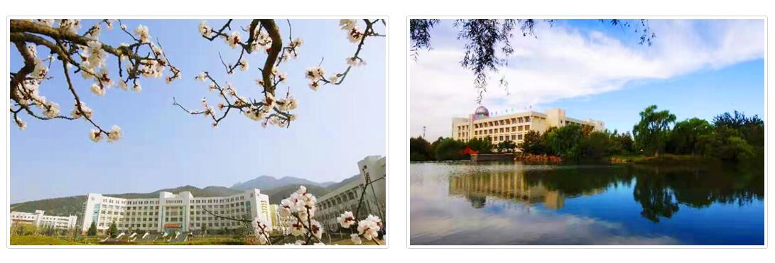 泰山学院2022年引进高层次人才优惠政策