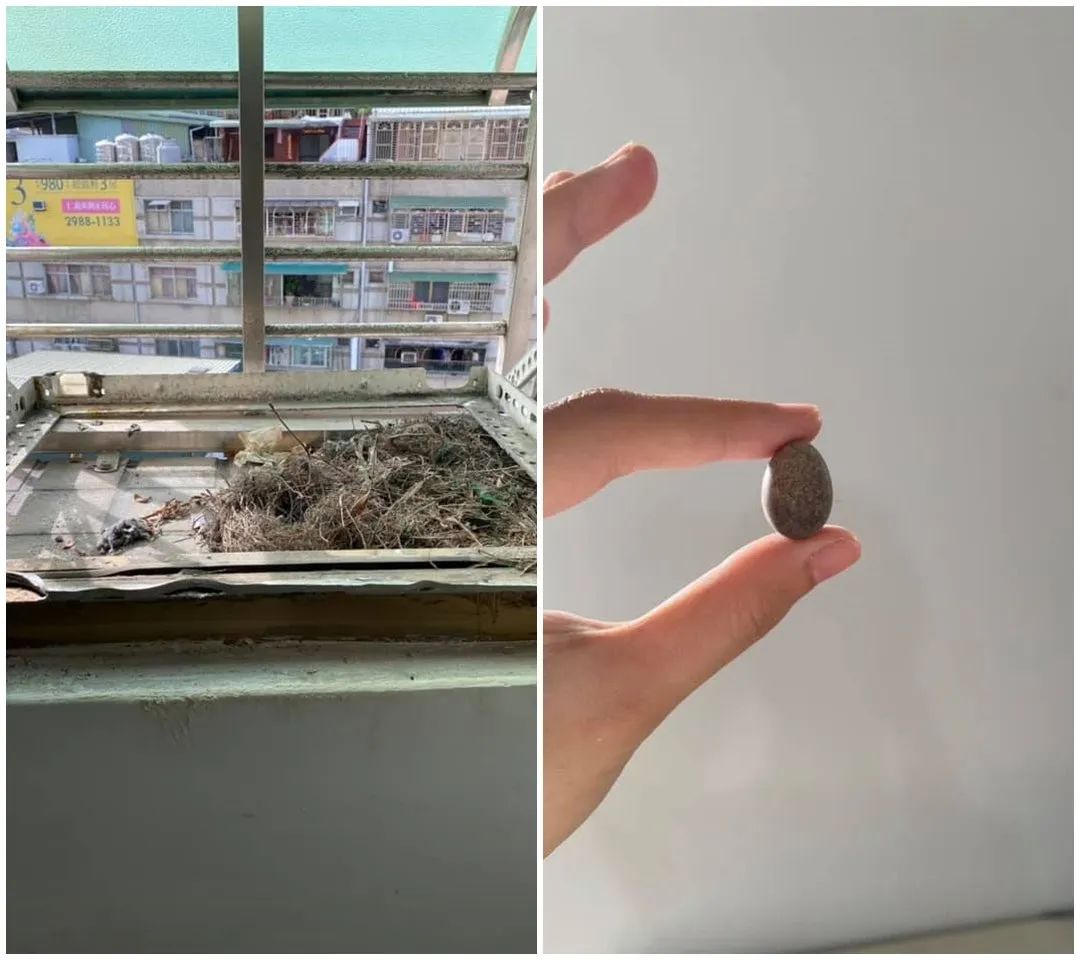 DIY爆改的20平米出租屋，不用7000元变身居心地