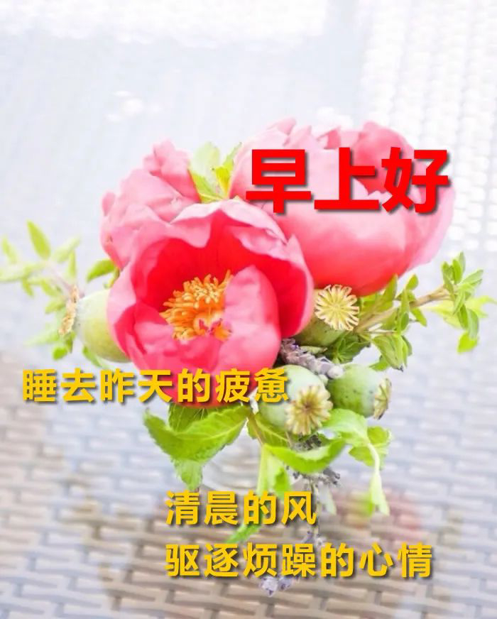 立夏早上好 最新早上好图片 朋友早晨好动态美图 财运红火、好运一夏图片
