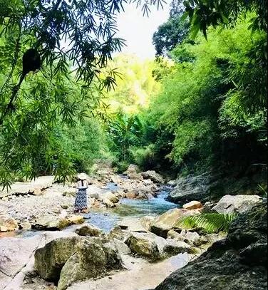 春节假期出游好去处，广州9个景点免费玩，都是拍照圣地