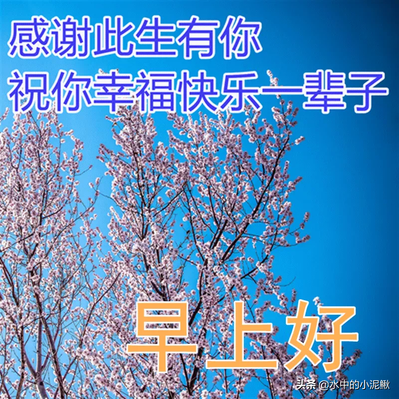 每日精选12句心灵鸡汤，早安正能量经典句子