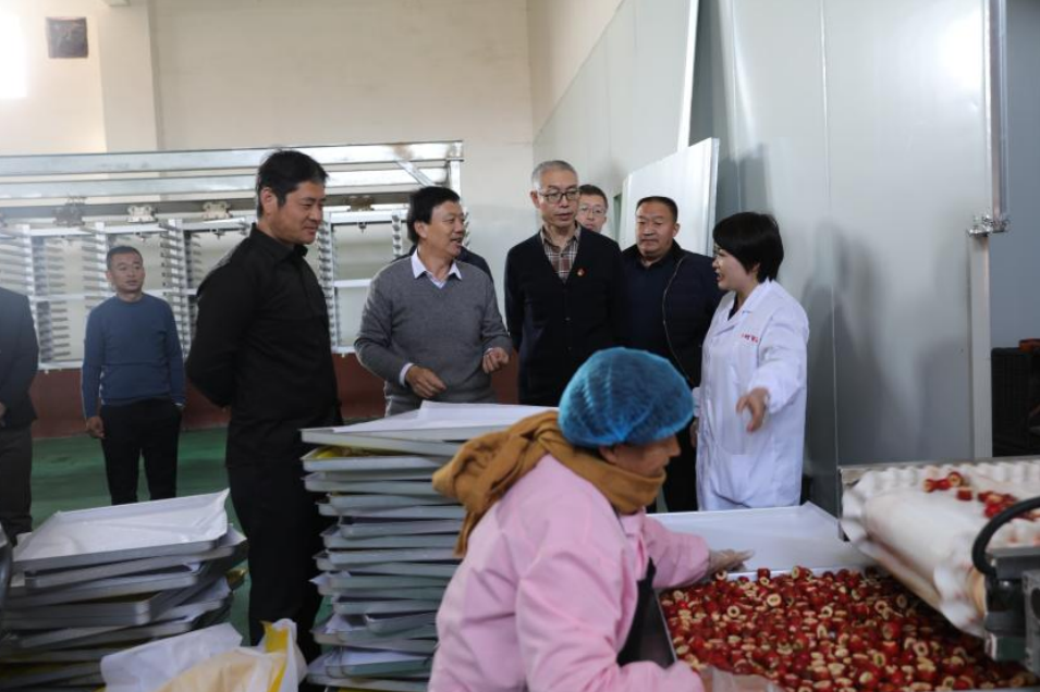 郑城镇组织开展省派第一书记现场观摩活动
