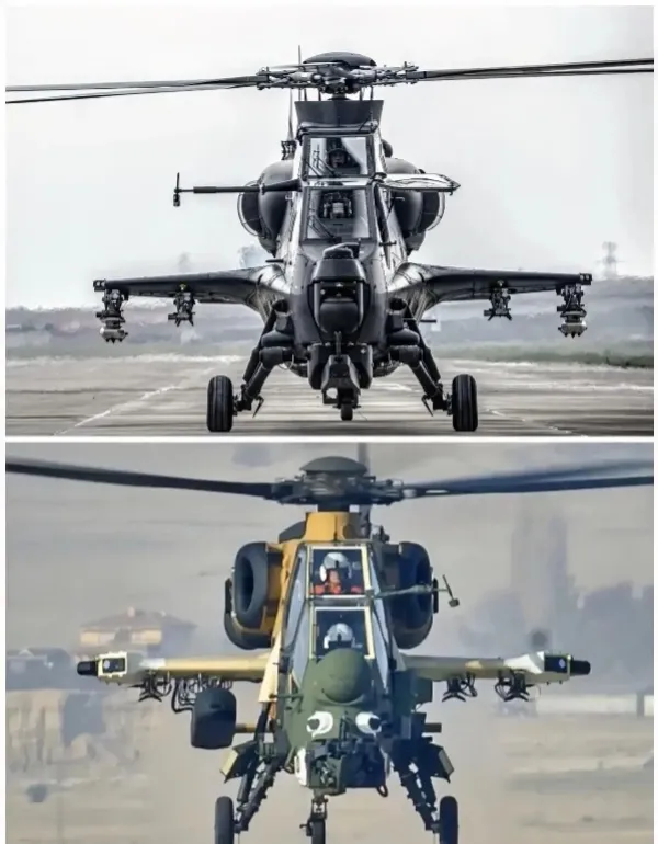 中国武装直升机武直10(中国武直-10和土耳其T129武装直升机正面图)