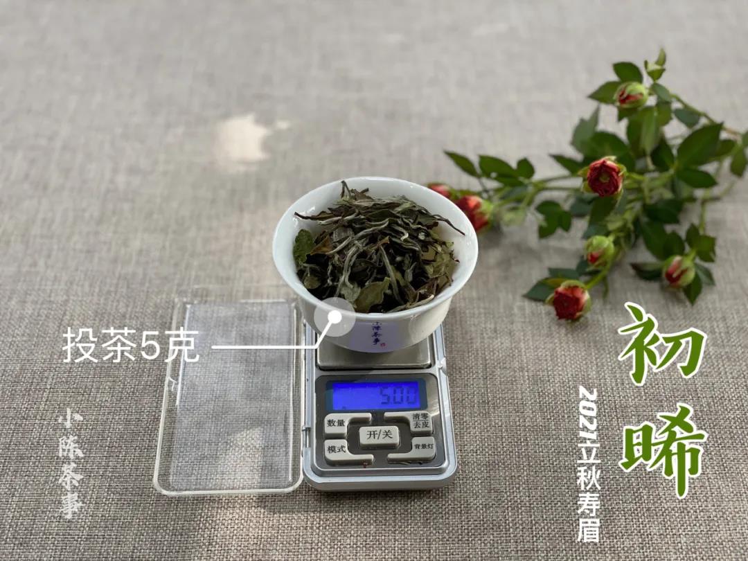 洗茶是浪费，还是衛生？老茶客搬出4个实例，好坏一次性说清