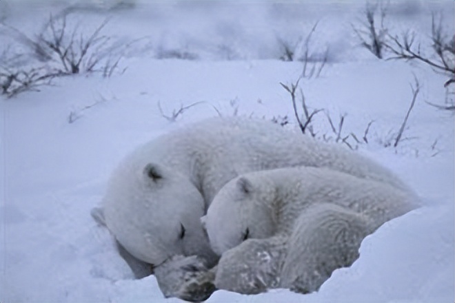 �п�Ժ����֤ʵ������������40%�����¸��ߣ�������