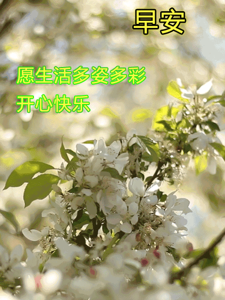 漂亮好看的早上好问候语 舒展美丽的微笑，拥抱愉悦的一天图片