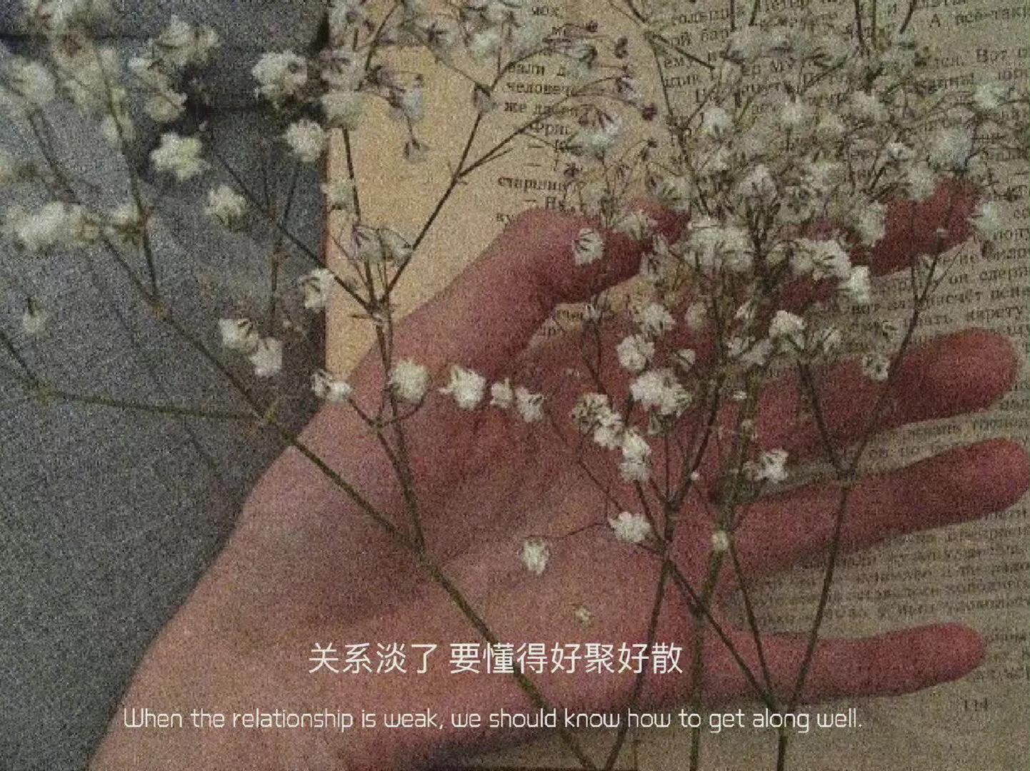 干净小众有品味的背景图