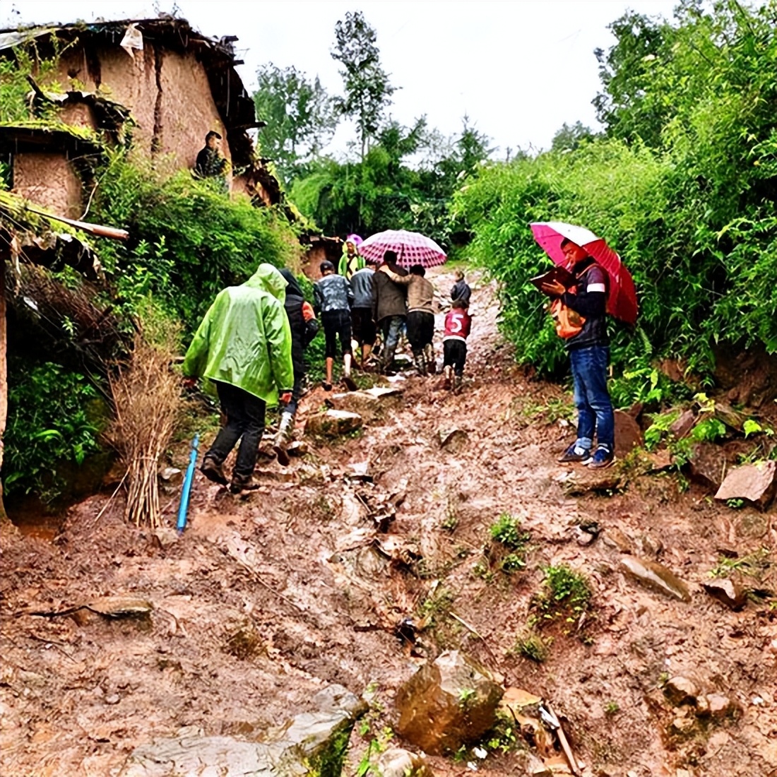 南京大学大凉山少年刷屏全网，网友泪目：读书，真的可以改变人生