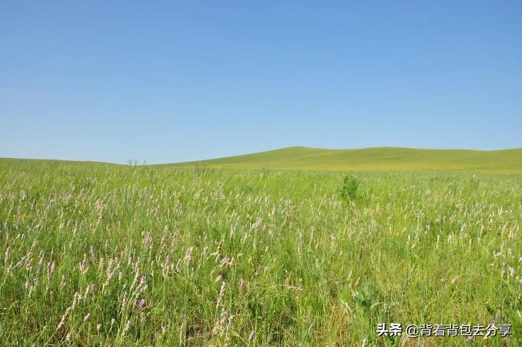 内蒙古必游的十大景点，去过9处，才算真正的玩转内蒙古