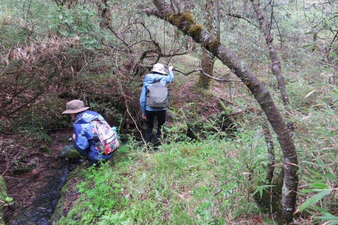 一张封面，为啥画了80年？