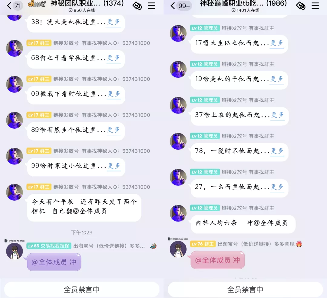 19岁男生成立8个打假群，月入十万，已摧毁多个店铺链接