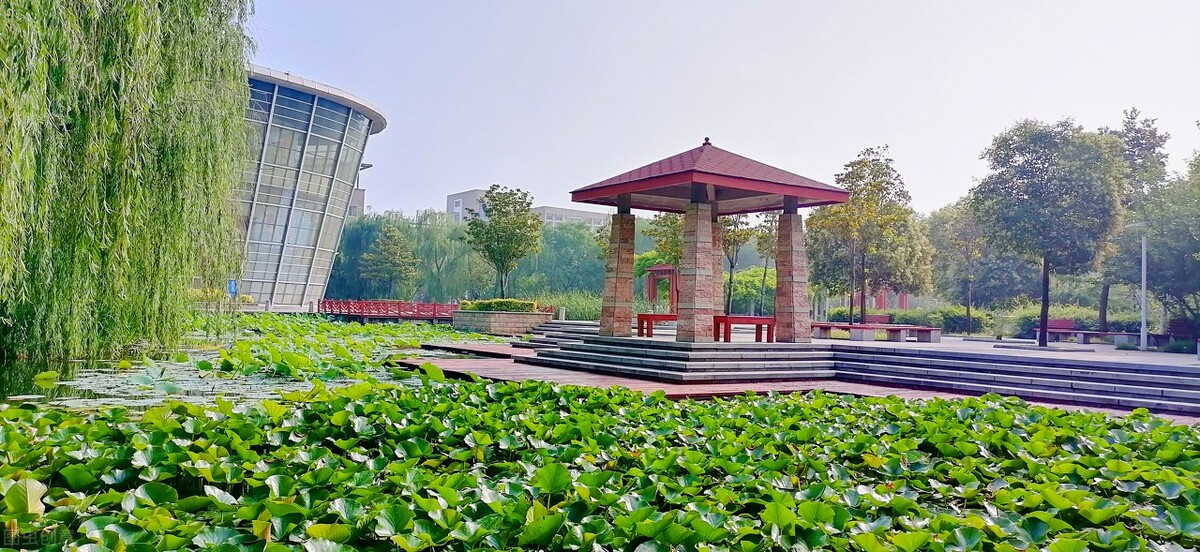 低分生也能读师范，当老师，这5所专科类型的师范高校帮你实现