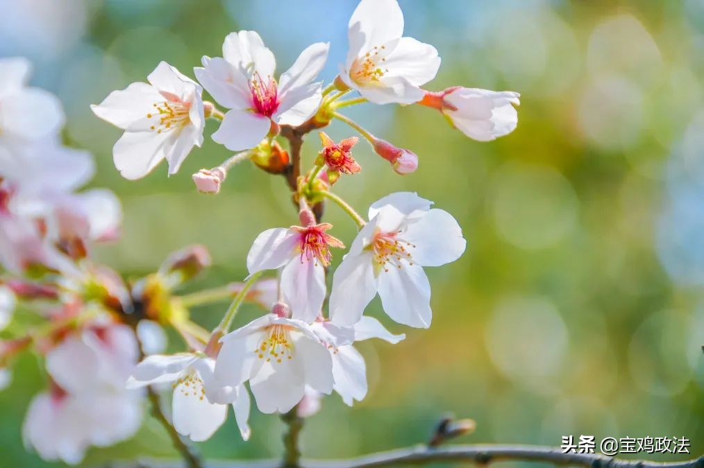 上巳节的由来和风俗（中国古代最浪漫的节日）