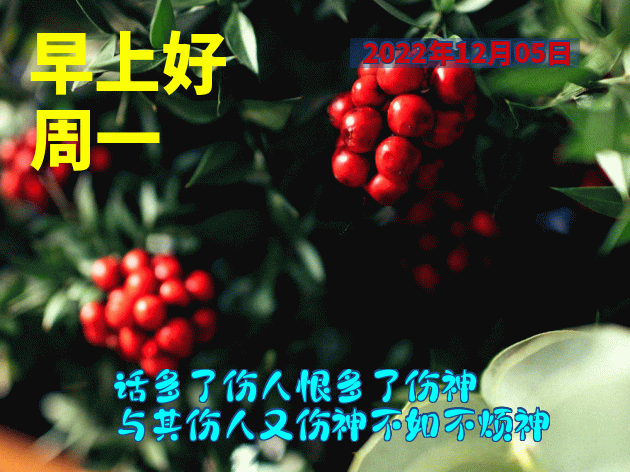 今日份漂亮早上好表情包图片 祝你开心愉快、幸福安康图片