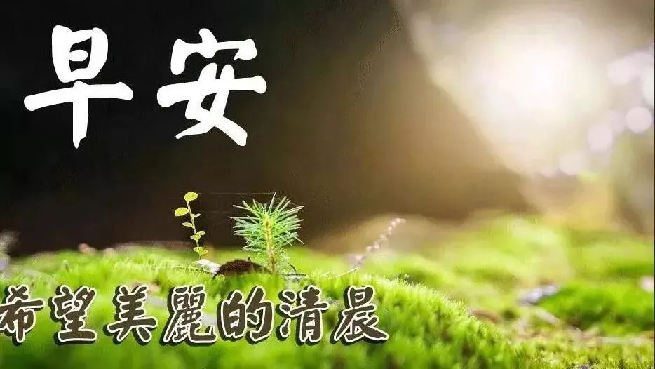 周二早上好朋友，祝你工作顺利，天天开心，事事顺心，身体健康图片