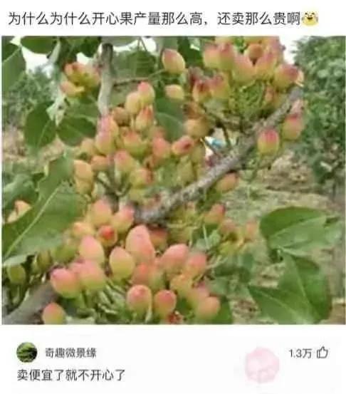 面朝大海，春暖花开，结果海里全是外卖盒