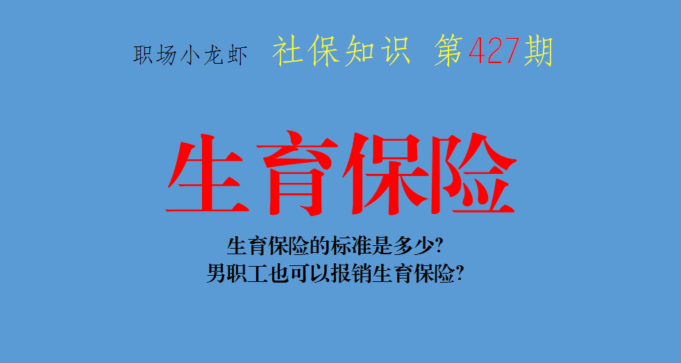 生育保险的标准是多少(生育保险 标准)