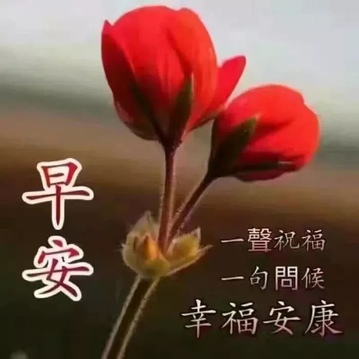 创意好看的早上好祝福图片带字温馨 一天一个梦想，祝你快乐安康图片