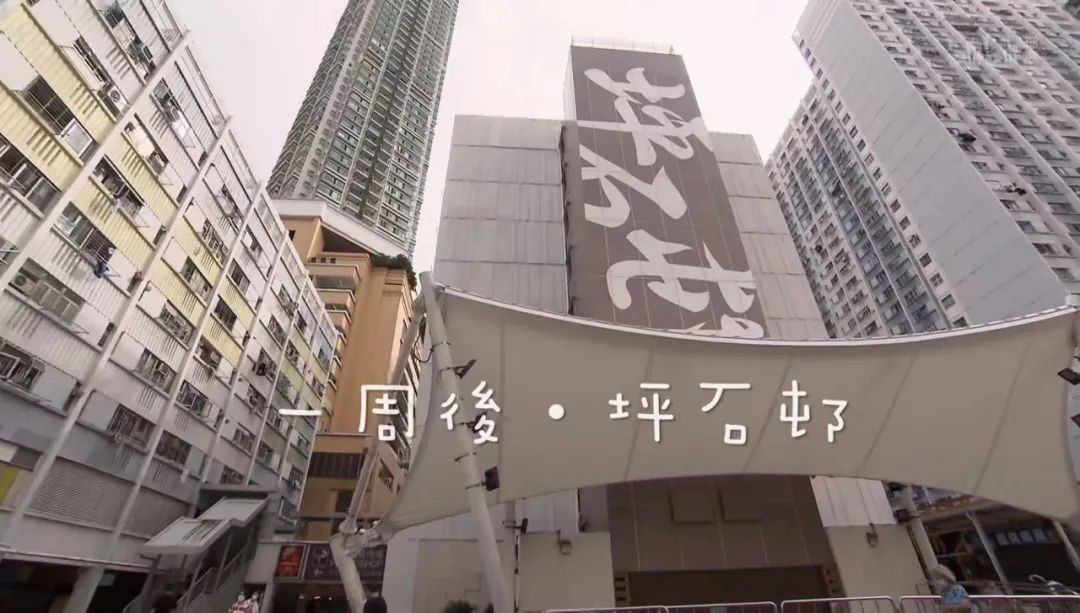 众里寻到“他”，还寻到香港回归后的变化