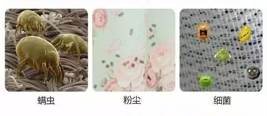 好百邻家政帮你搞定居家过敏源，全方位清洁杀菌