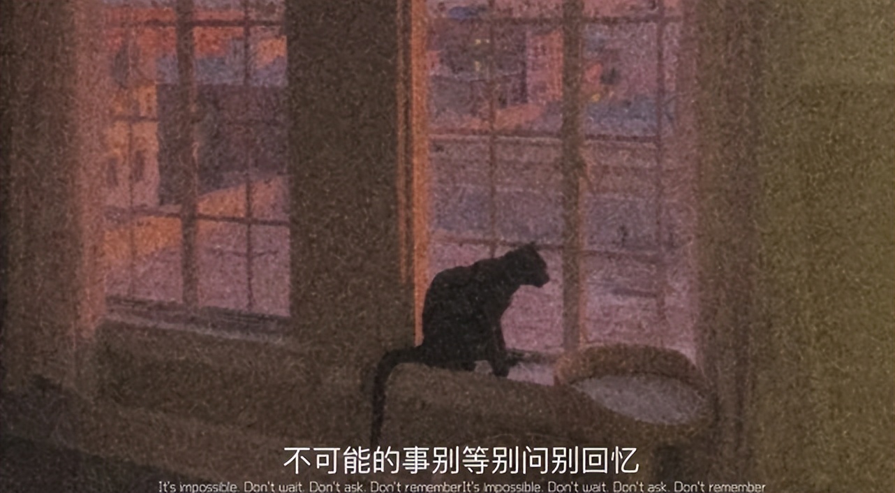 细节决定爱情：那些微小瞬间里的深情与温暖