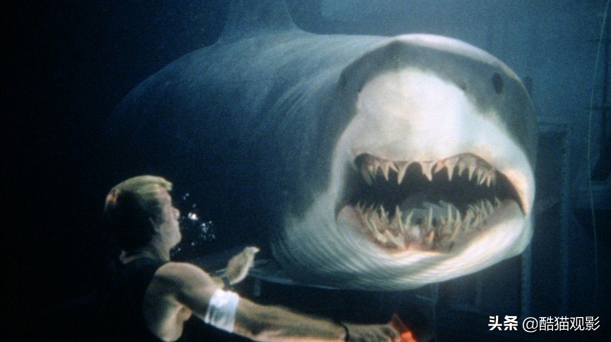 十部鲨鱼题材电影，都是爽片，不容错过
