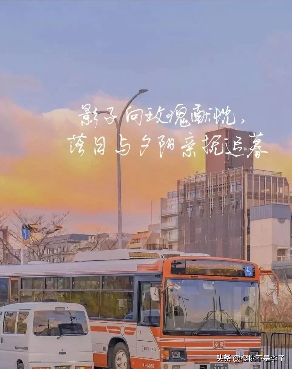樱桃如珠，缀于枝头，一瞬的红晕，藏尽春日私语