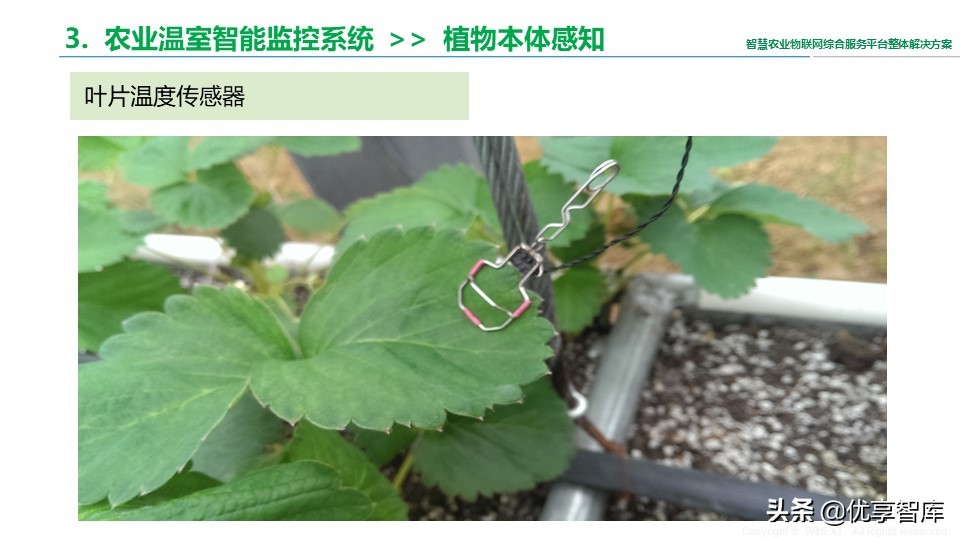 智慧农业物联网综合服务平台整体解决方案（41页PPT）