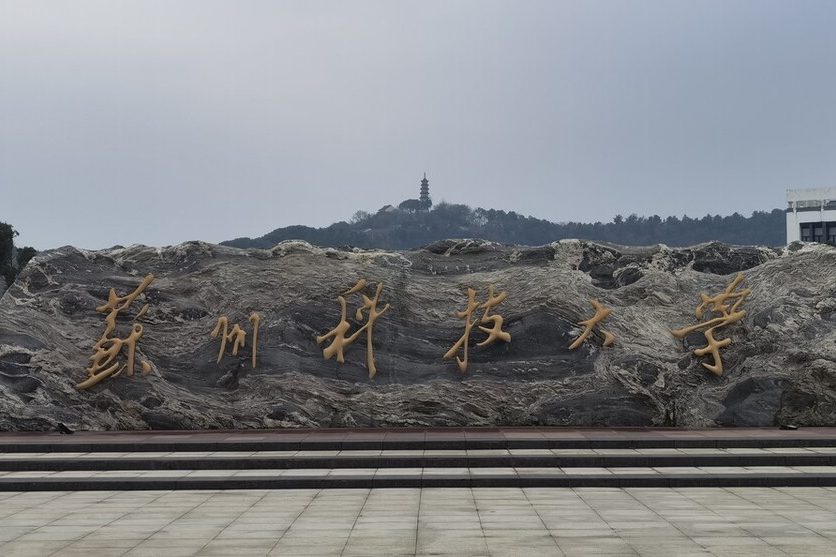 艺术类招生386人！统考240文化成绩多少才能被苏州科技大学录取？