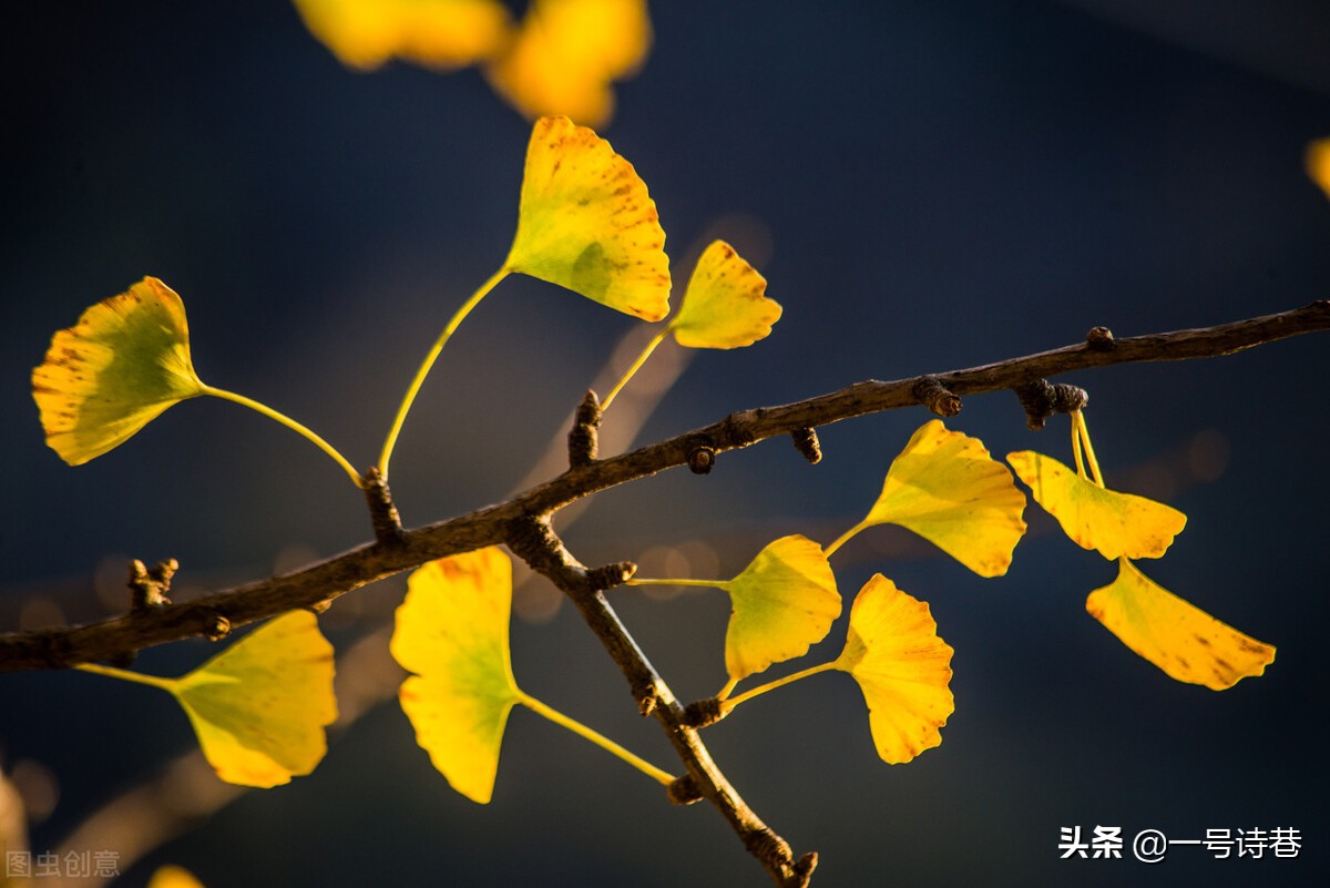 诗词写作方法：格律诗的押韵需要避开哪些误区？详细总结在这里