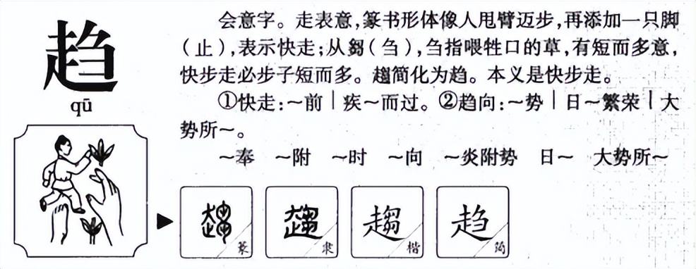 趋势怎么读？趋势的读音和意思