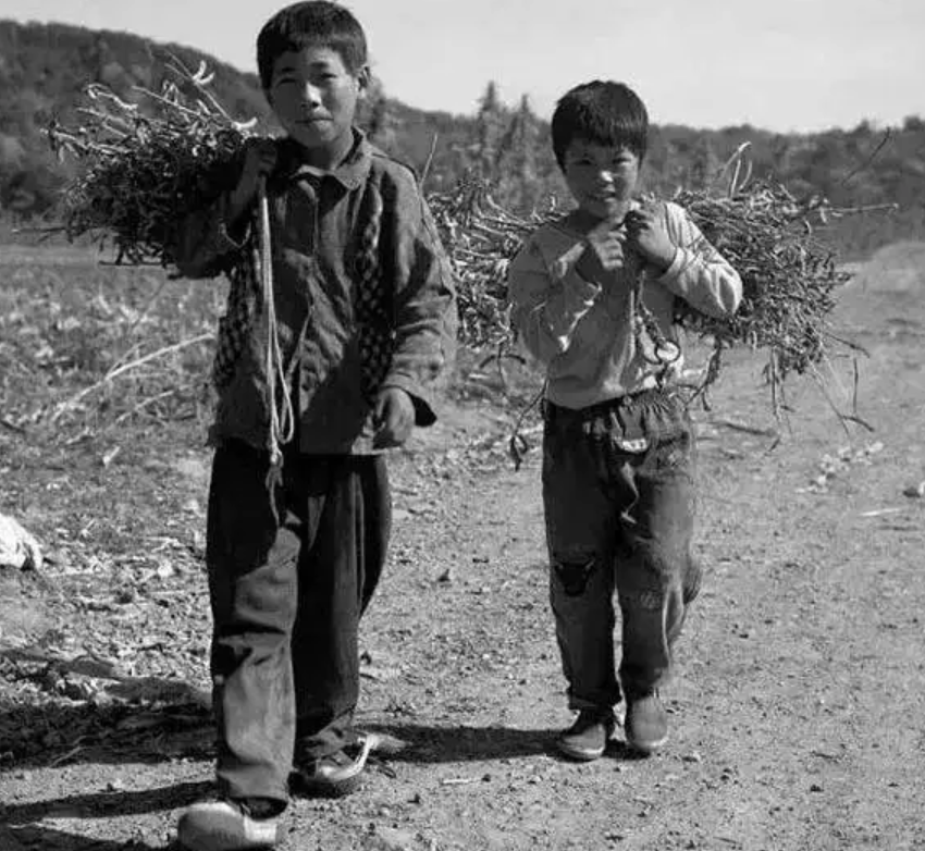 “槟榔大王”去世，10亿家产全给妻子，其母控告儿媳弑夫伪造遗嘱